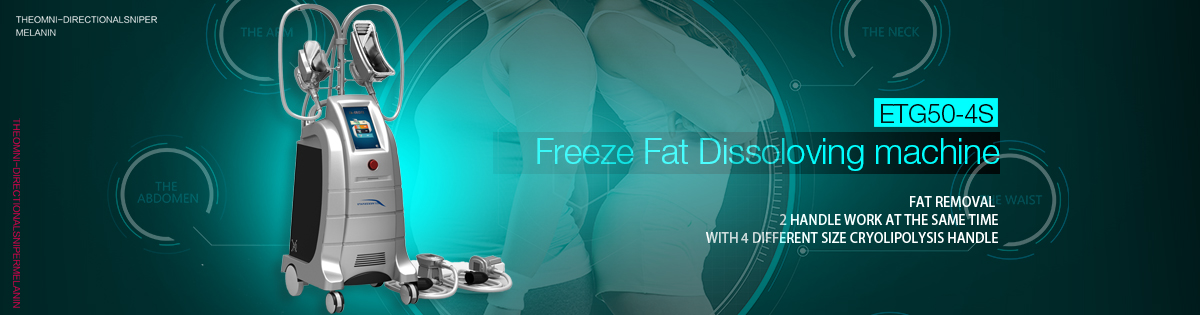 Freeze Fat Dissoloving machine     ETG50-4S