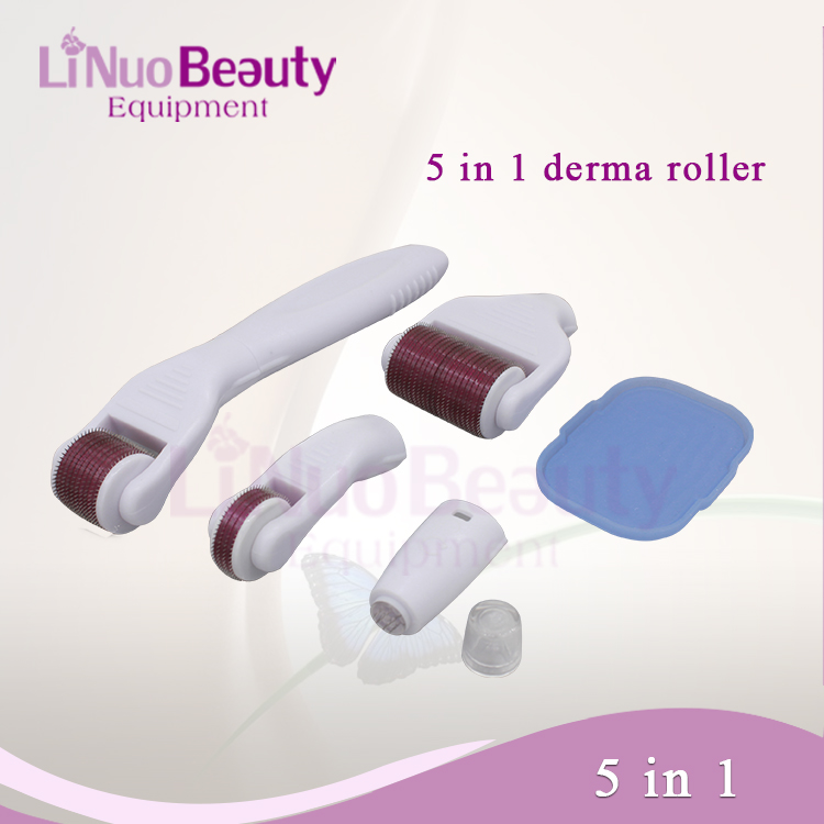 LINUO professional derma roller 5 in 1 massager skin rejuvenation stainless steel micro needle derma roller kit with 4 heads