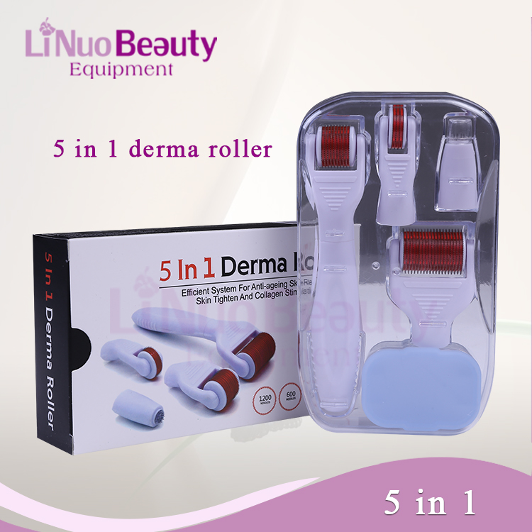 LINUO professional derma roller 5 in 1 massager skin rejuvenation stainless steel micro needle derma roller kit with 4 heads