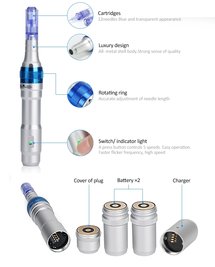 Beauty Equipment