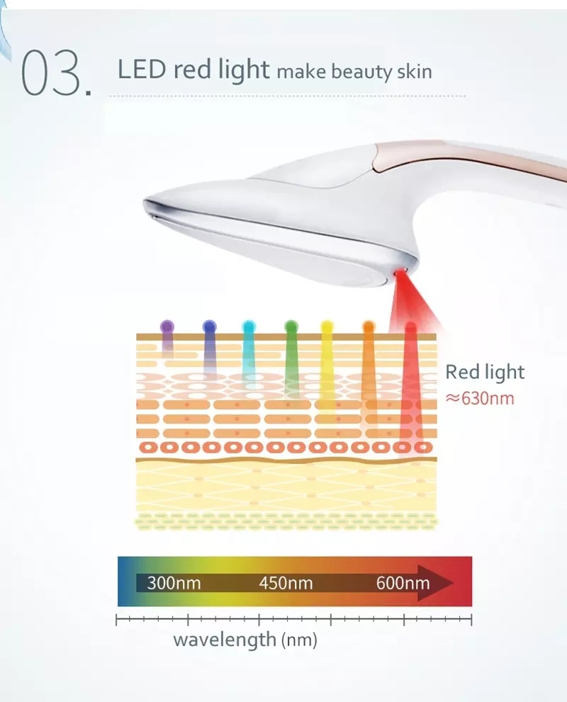 Beauty Equipment