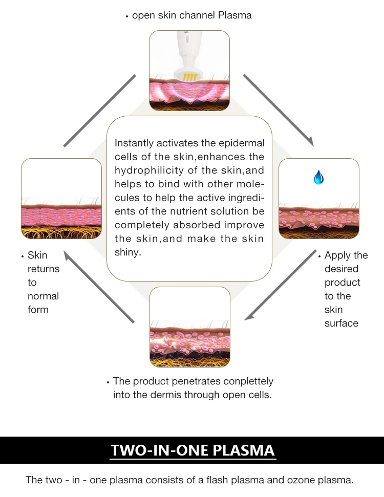 Beauty Equipment