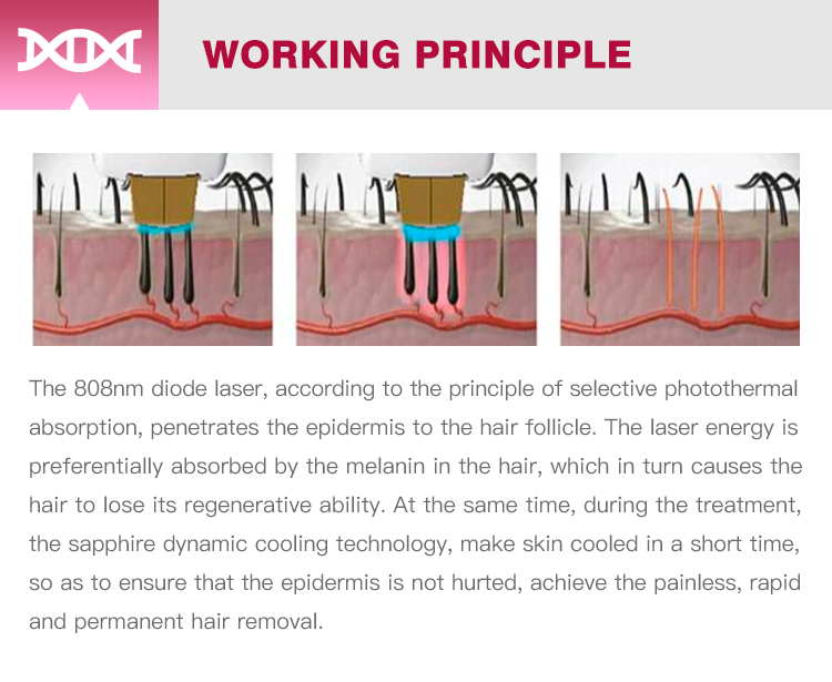 Beauty Equipment