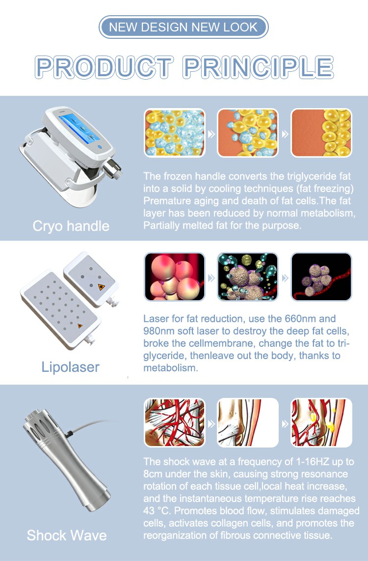 Beauty Equipment