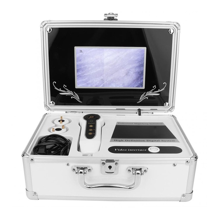 Hot Selling With A Case Boxy Portable Analyzer For Skin And Hair Test And Camera Analysis Skin Scanner Scope