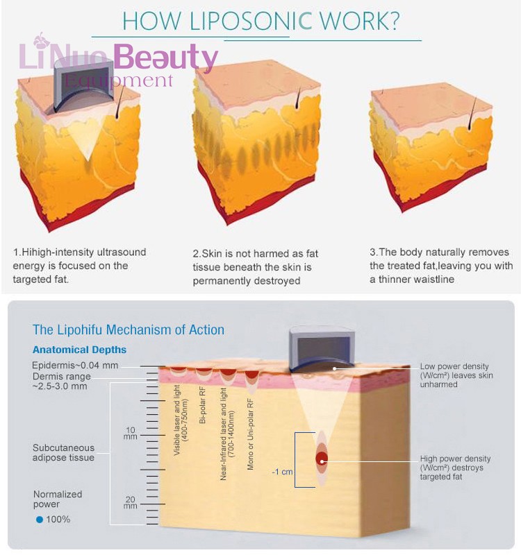 Beauty Equipment